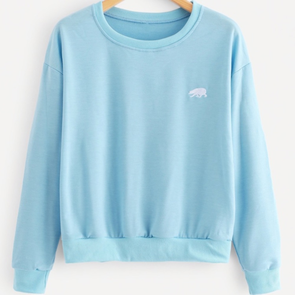 Blue sweatshirt